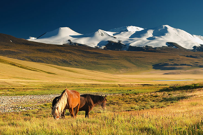 © Mongolie - Christian Dupont