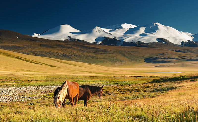 Voyages en Mongolie