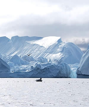 Nos partenaires Grand Nord