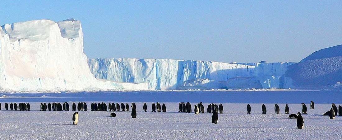 L'Antarctique